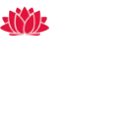 NSW Government Issued Travel License