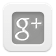 Google Plus